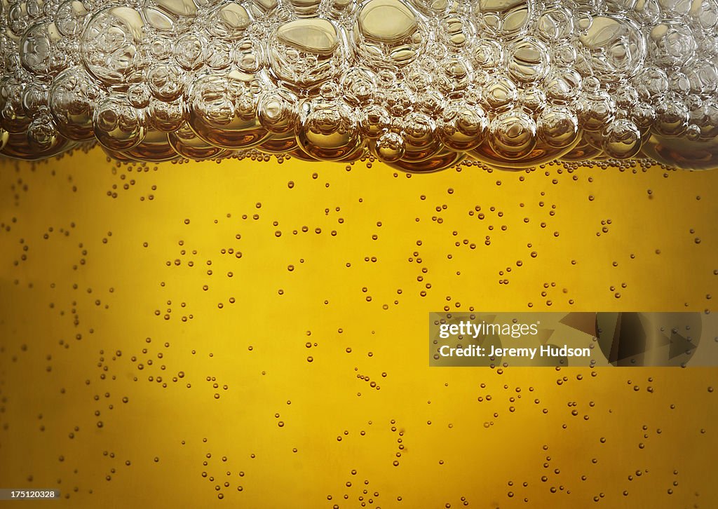 Beer Bubbles