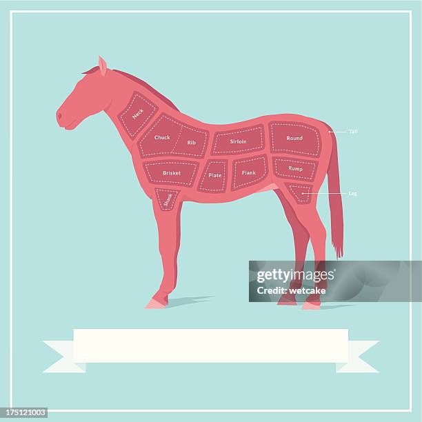 schnitte von horse fleisch - gliedmaßen körperteile stock-grafiken, -clipart, -cartoons und -symbole