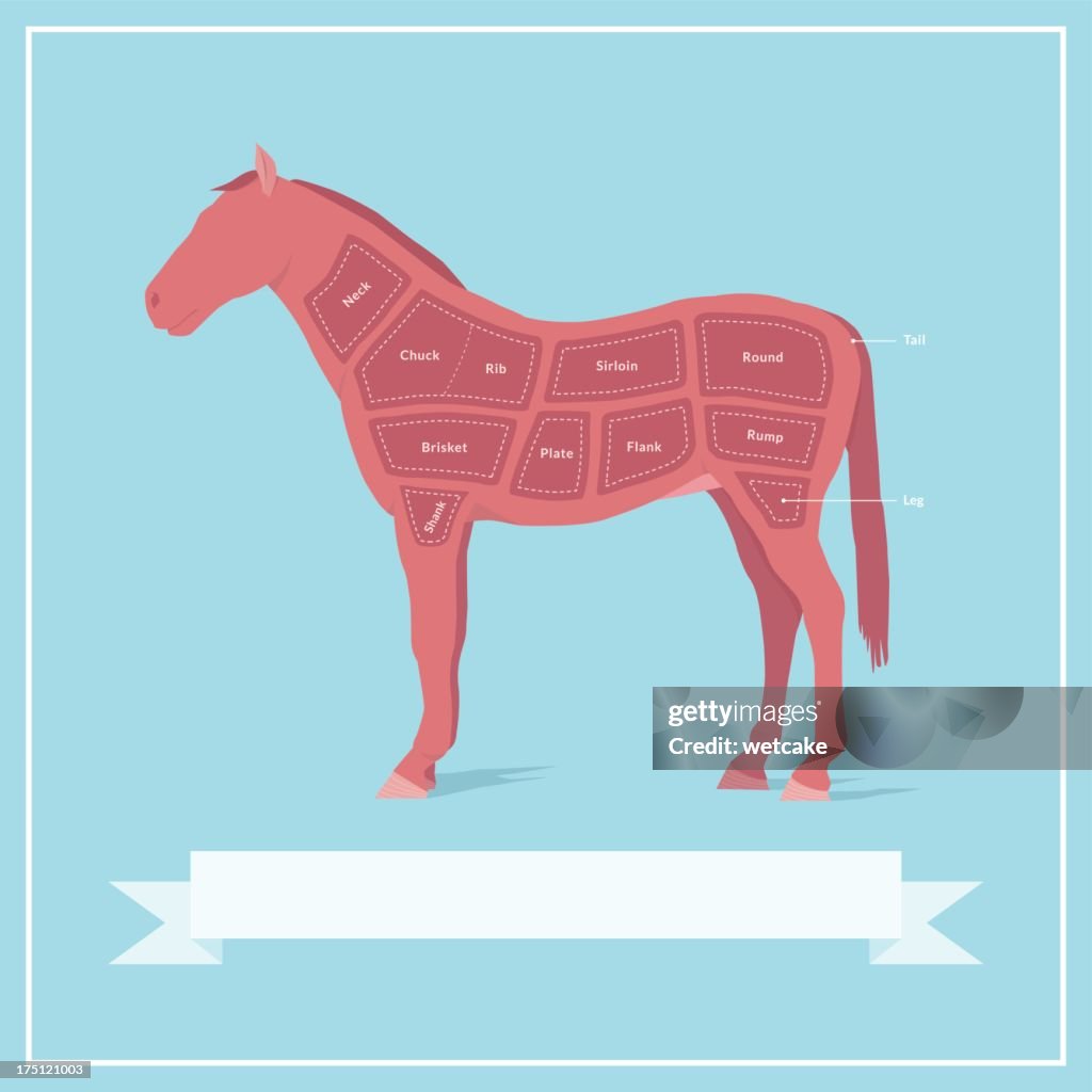 Cuts of Horse Meat