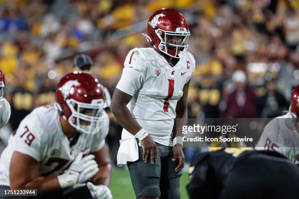 Washington State Cougars quarterback Cameron Ward sets up for the play during the college football game between the Washington State Cougars and the...