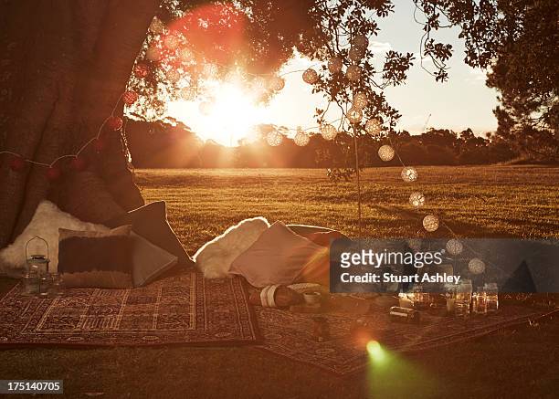 beautiful sunset picnic - sturt park stock pictures, royalty-free photos & images