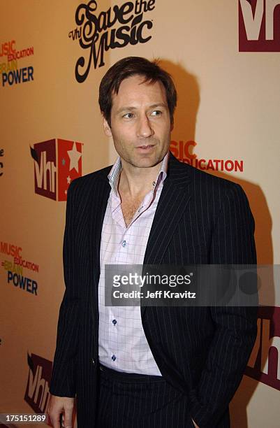 David Duchovny during VH1 Save The Music: A Concert To Benefit The VH1 Save The Music Foundation - Red Carpet at Beacon Theatre in New York City, New...