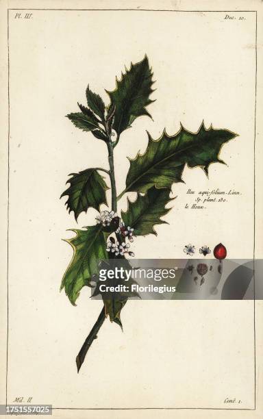 European holly, Ilex aquifolium, Linn. Sp. Plant 130. Le Houx. Handcoloured copperplate engraving by Jean Victor Dupin junior from Pierre Joseph...