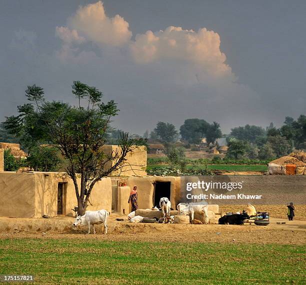 the village of punjab - punjab pakistan stock pictures, royalty-free photos & images