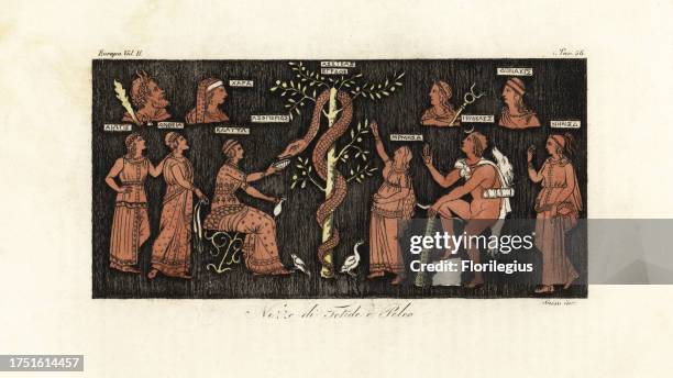 Heracles on his 11th labor, taking golden apples from the Garden of the Hesperides guarded by the serpent Ladon. From a vase in Aubin Louis Millin’s...