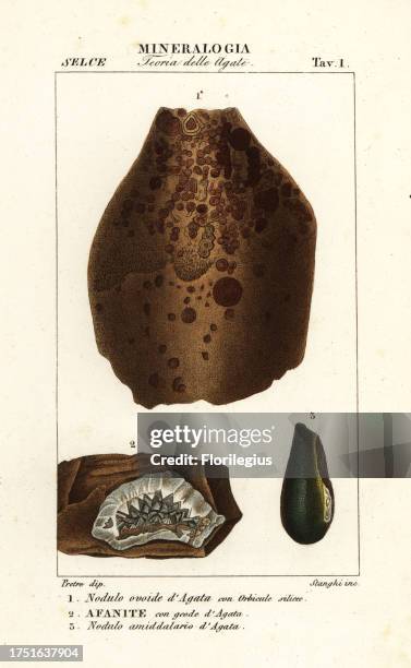 Engraved Geode 86 Pretreatment Stock Photos, High-Res Pictures, and Images - Getty Images
