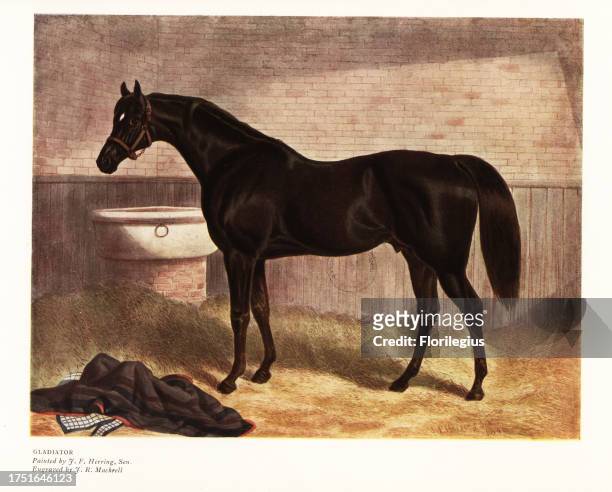 Gladiator, thoroughbred horse that came second in the 1836 Epsom Derby. Portrait of the horse in the stables, 1833. Color print after an engraving by...