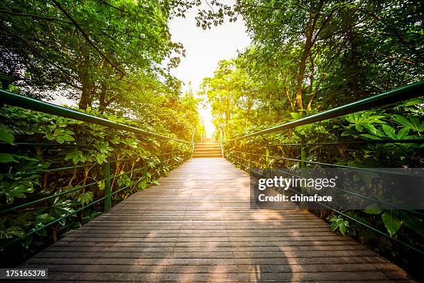green  walkway - metal catwalk stock pictures, royalty-free photos & images