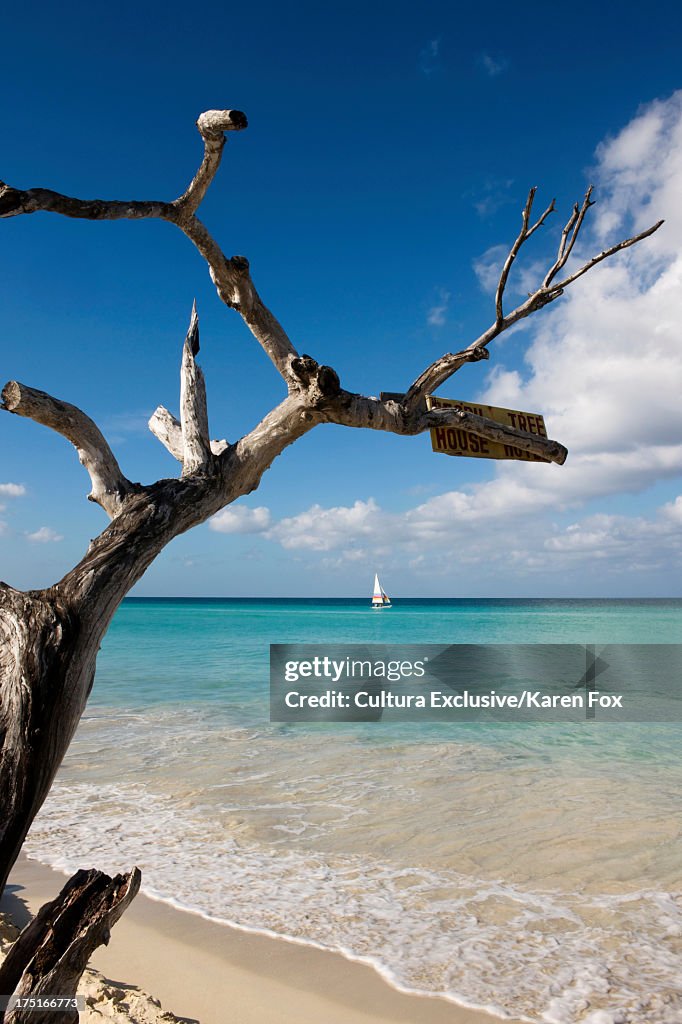 Seven Mile Beach, Negril, Jamaica