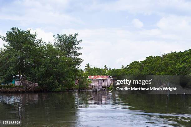 local houses line the rivefront - bocas del toro stock pictures, royalty-free photos & images