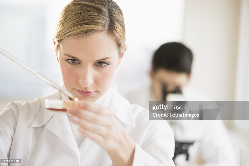 USA, New Jersey, Jersey City, Scientist using pipette and petri dish