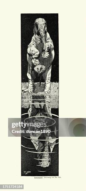 vanity, elephant standing on hind legs, looking at reflection in a pool, jugendstil, art nouveau, german 1890s - pool reflection stock illustrations