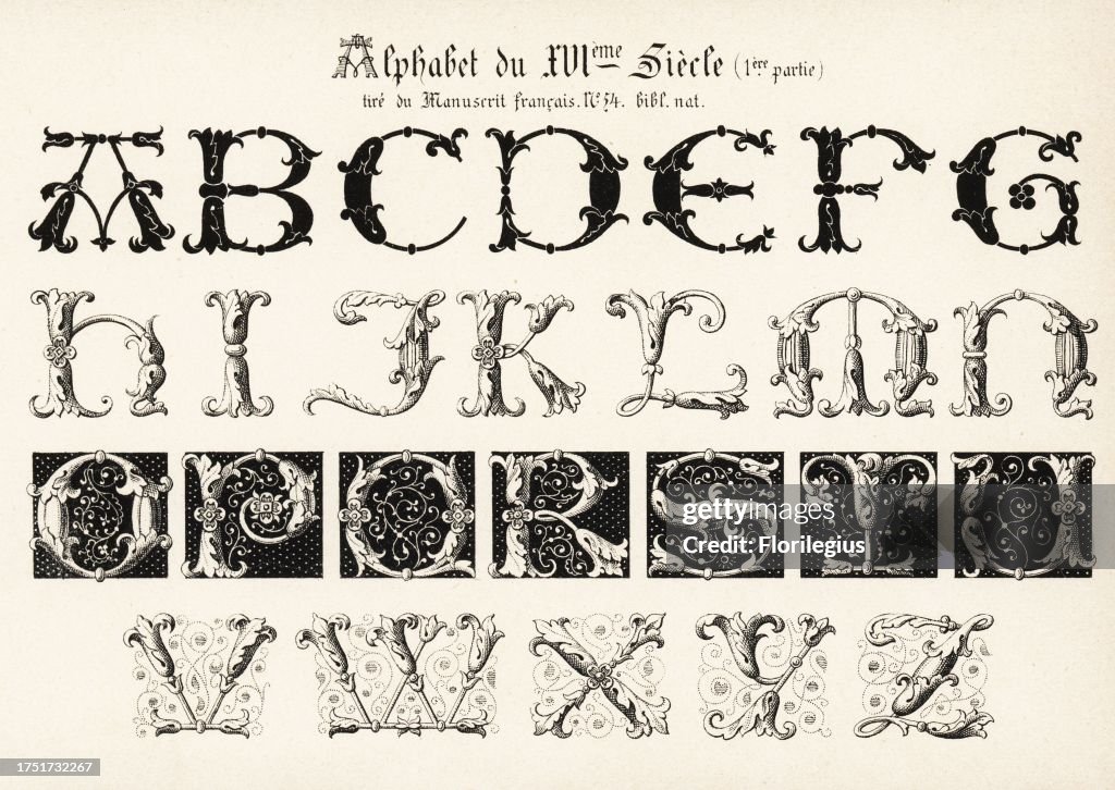 French Monoscript Alphabet of initial letters from a French manuscript, 16th century ...
