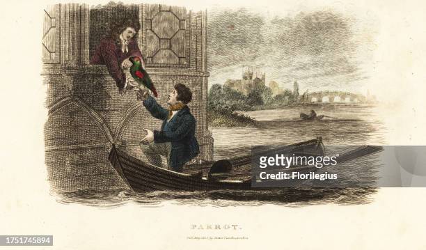 London boatman saving a talking parrot belonging to King Henry VIII of England. The boatman brings the bird to the king at a window in his apartments...