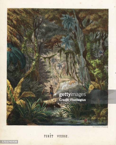 Virgin forest landscape in the Amazon, South America. A native American with axe, bow, quiver of arrows, walks over a fallen tree hunting a cougar in...