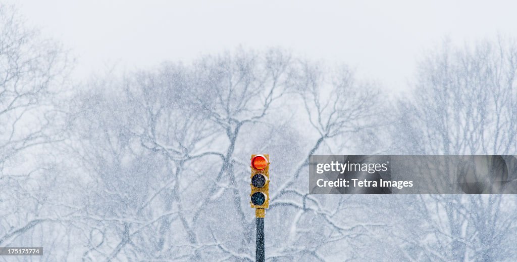 USA, New York, New York City, Red stoplight with winter trees in background