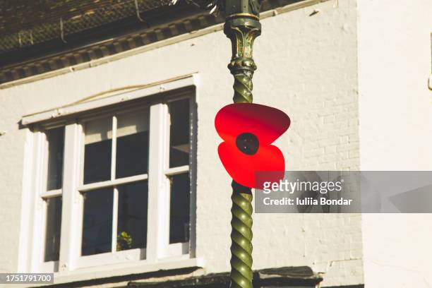 the red poppy flower veterans - remembrance day uk stock pictures, royalty-free photos & images