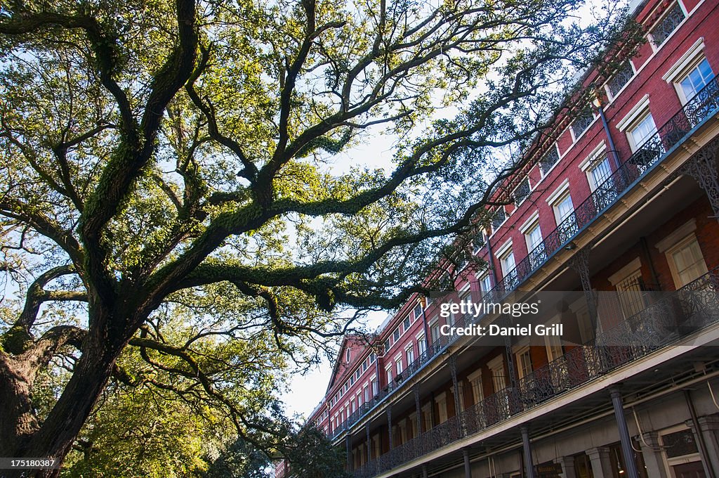 USA, New Orleans, Louisiana, View of traditional building with balcony