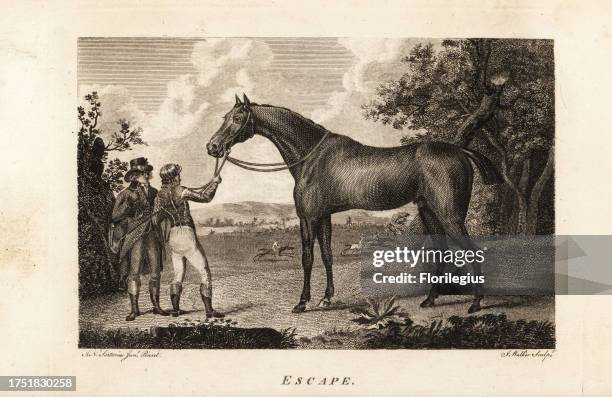Portrait of the celebrated thoroughbred racer Escape with jockey and trainer. Owned by the Prince of Wales, George Augustus Frederick, later King...