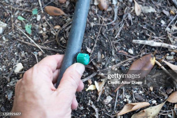 a person repairs drip irrigation in a garden. - irrigation system winter stock pictures, royalty-free photos & images