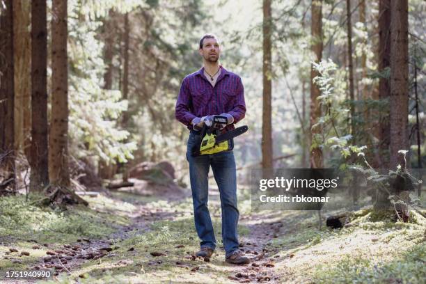 forester lumberjack with a chainsaw on a path in a sunny coniferous forest - deforestation work - holzfäller stock-fotos und bilder