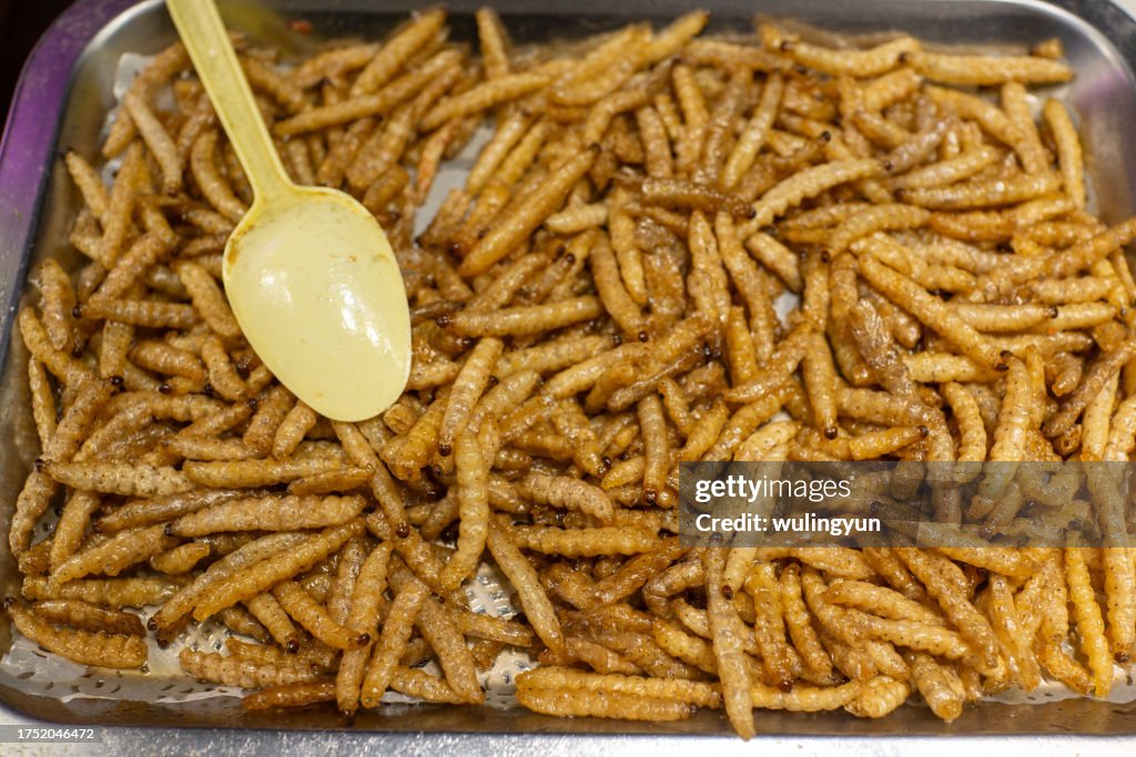 Fried Bean weevil