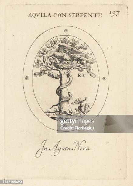 Eagle on its nest battling a snake in a tree. In black agate. Aquila con serpente. In Agata Nera. Copperplate engraving by Giovanni Battista...