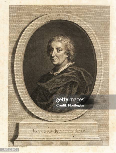 Diarest Evelyn Gardner Photos and Premium High Res Pictures - Getty Images