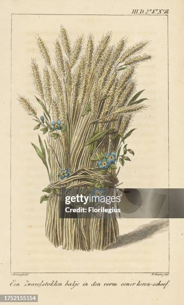 Bowl in the shape of a corn-sheaf. Handcoloured copperplate engraving by D. Sluyter after an illustration by Cornelis Borsteegh from Anna Barbara van...