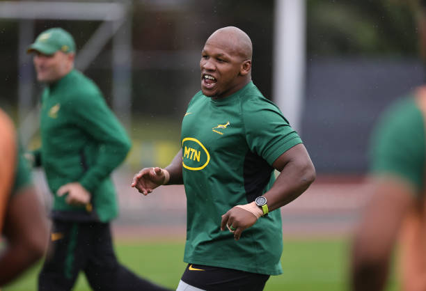 FRA: South Africa Training Session - Rugby World Cup France 2023