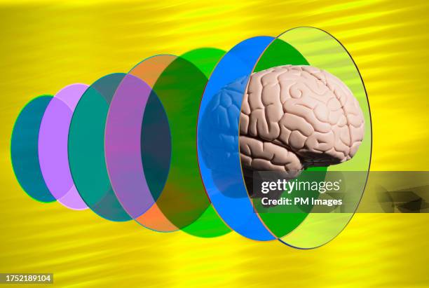 brain trough meta verse tunnel - mr brain stock pictures, royalty-free photos & images