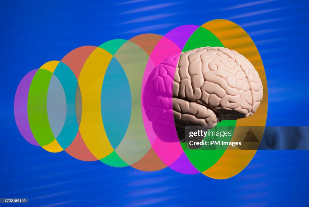 Brain trough meta verse tunnel