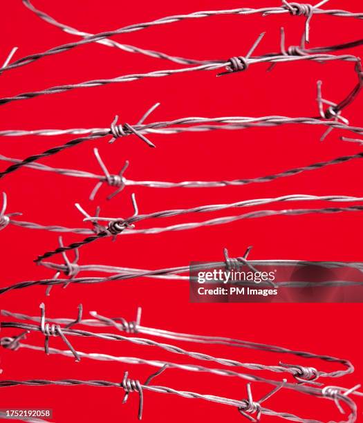 barbed wire on red - arame farpado arame - fotografias e filmes do acervo