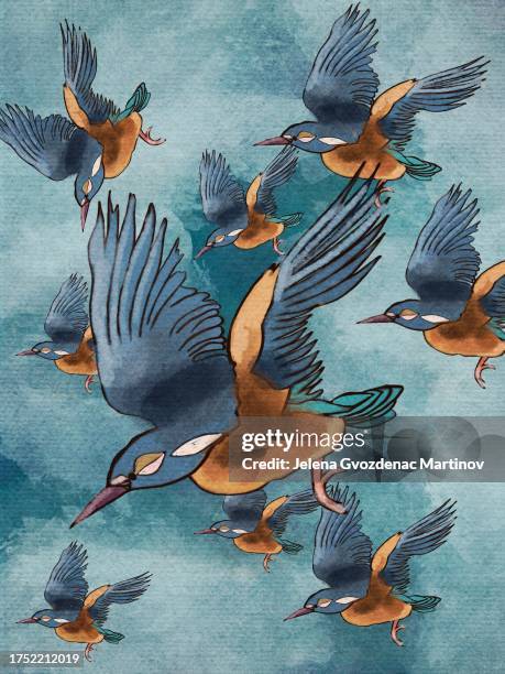 illustration of a kingfisher on a blue watercolor background. - common kingfisher stock illustrations