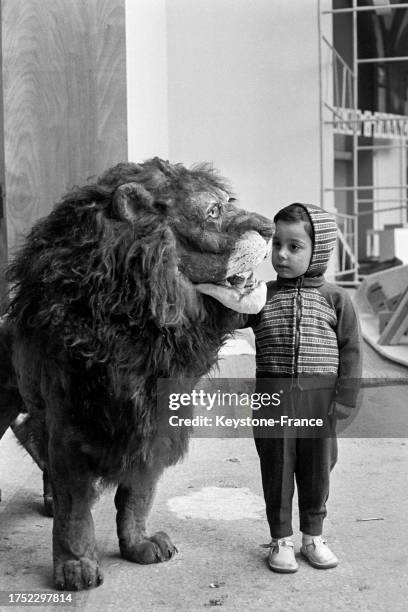 Enfant caressant une peluche géante de lion au salon de l'Enfance au Grand Palais à Paris, le 27 octobre 1958.