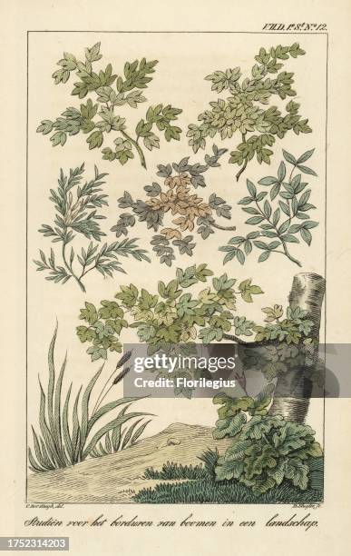 Pattern for embroidery of flowers in a landscape. Handcoloured copperplate engraving by D. Sluyter after an illustration by Cornelis Borsteegh from...