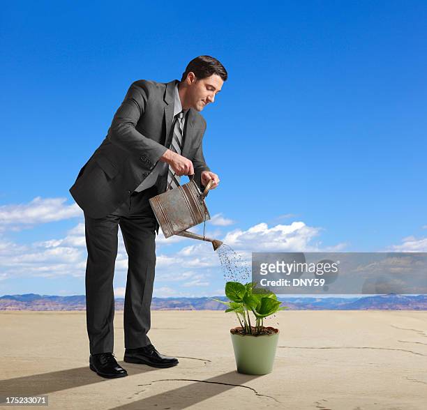 watering plant - holding watering can stock pictures, royalty-free photos & images
