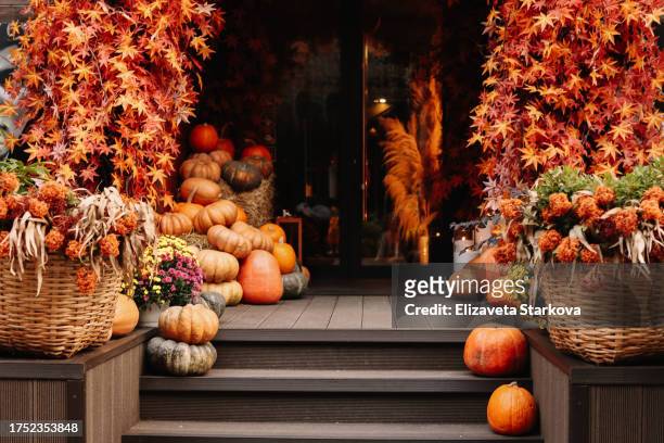 autumn background. a pile of orange pumpkins lies on the wooden floor. the interior of the entrance of the cafe decorated with bright ripe pumpkins for the halloween outdoor - pumpkin decorating stock pictures, royalty-free photos & images