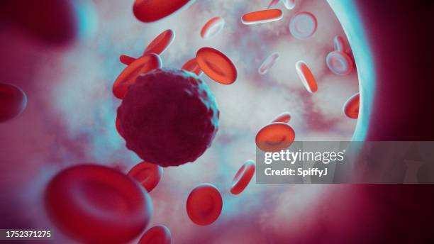 veia ou artéria interna humana - tecido humano termo anatômico - fotografias e filmes do acervo