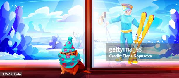 a frozen bulldog warms up at home after a walk against the backdrop of panoramic windows with a sunny winter landscape and a young skier in nature. creative vector illustration in cartoon style. - ski humour stock illustrations
