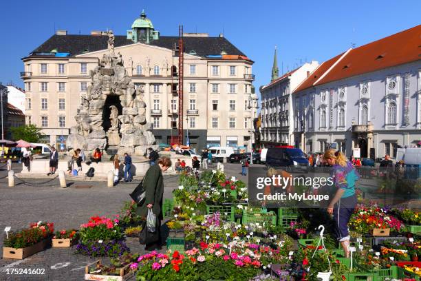 Flower market bY Parnassus Fountain in Cabbage Market Square Brno Czech Republic