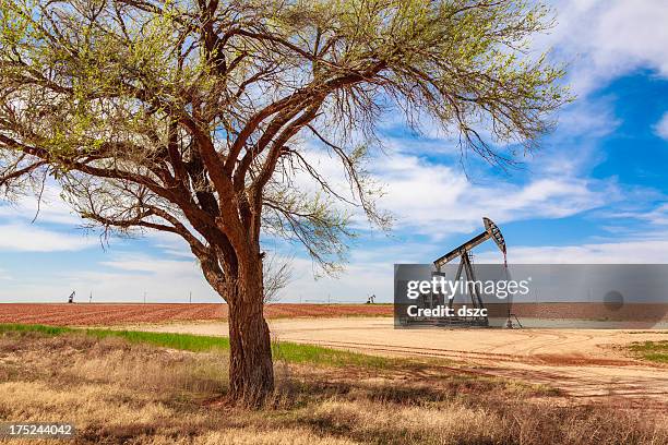 Lone Tree Ölquelle Pumpjack Farmlandwest Texas Stock-Foto - Getty