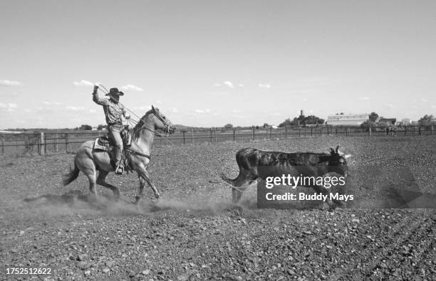Cowboy practices the dusty art of heeling, catching a cow by its hind legs with a rope, usually on the run, on a large cattle ranch in western Texas,...