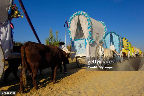 Carretas y Romeros Por la Raya Real camino e la aldea . Romeria del Rocio. Almonte. Provincia de Huelva. Espaa