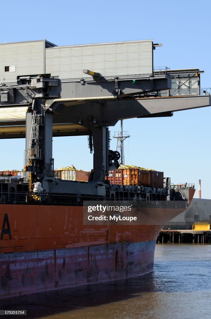 Port of Savannah Georgia USA 