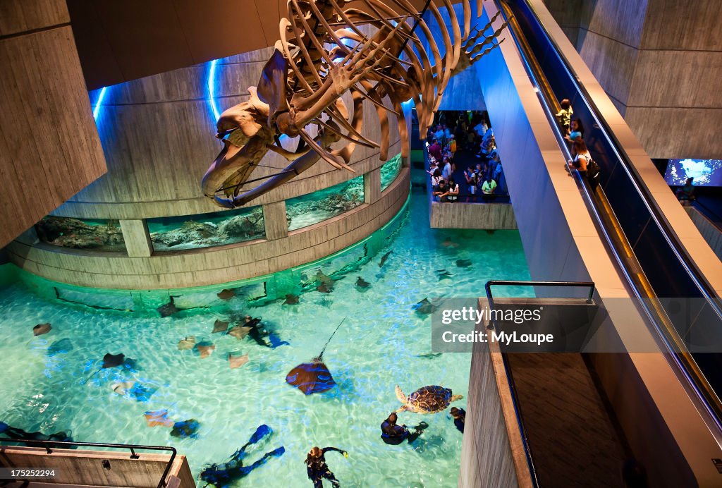 National Aquarium, Inner Harbor, Baltimore, Maryland, USA News Photo