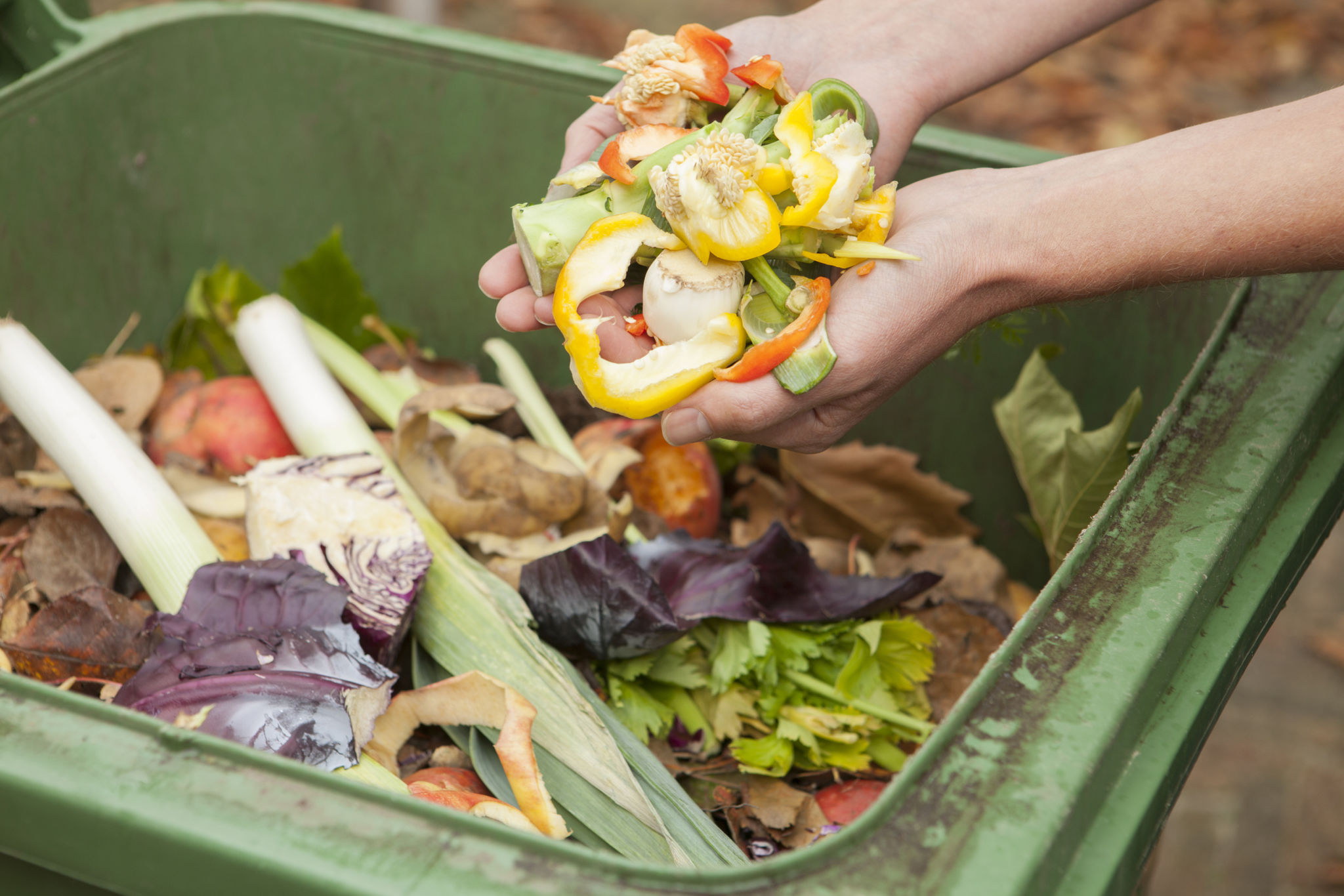 compost bin