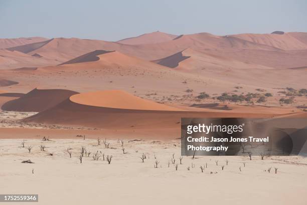 an elevated view of dead vlei and the huge sand dunes - namibian cultures stock pictures, royalty-free photos & images