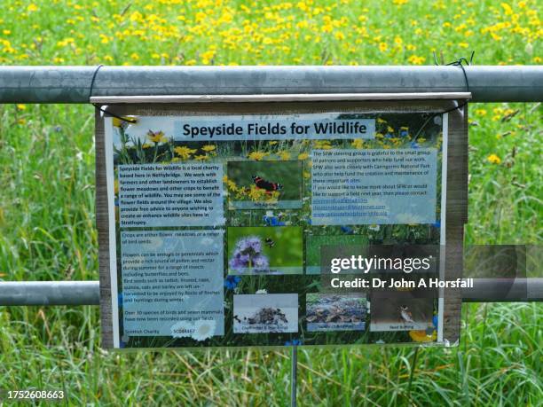 a notice advertising a wildlife-friendly meadow in scotland - agrostemma githago stock pictures, royalty-free photos & images