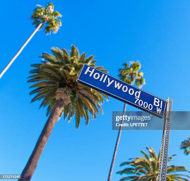 hollywood - hollywood sign bildbanksfoton och bilder